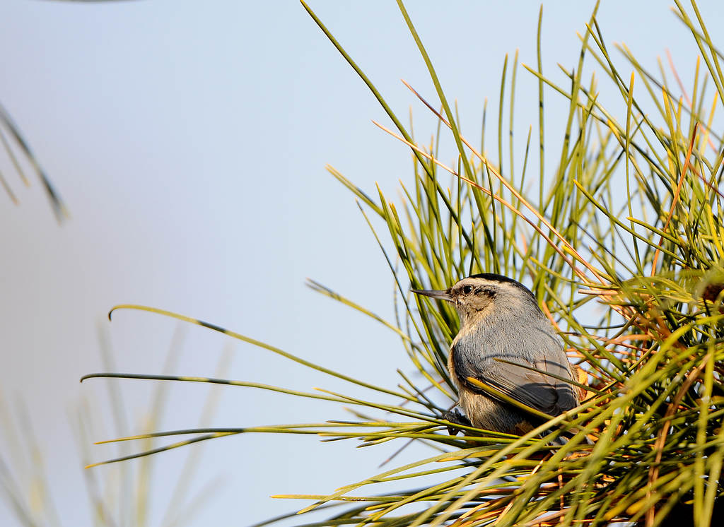 DSC_0086  3.jpg
