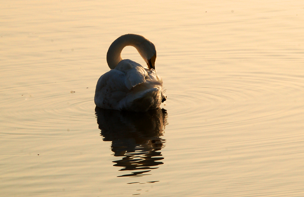DSC_4098.JPG