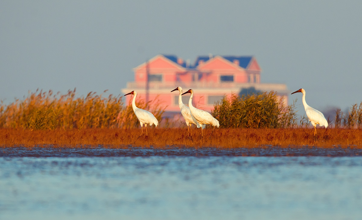 D3X_0910-1.jpg