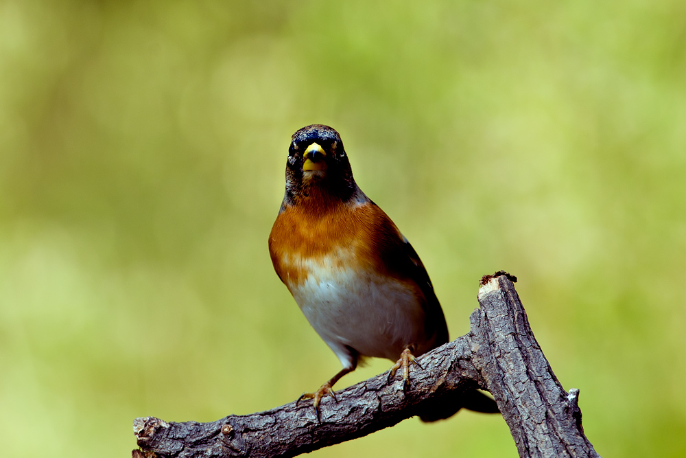 D3X_8041.jpg
