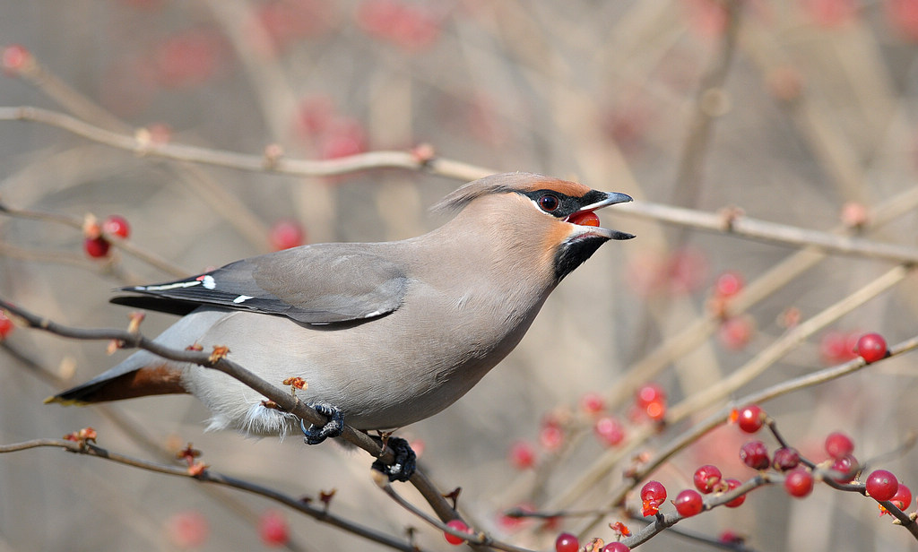 DSC_1428  1.jpg