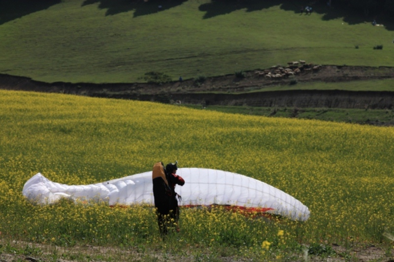 31 �������.jpg