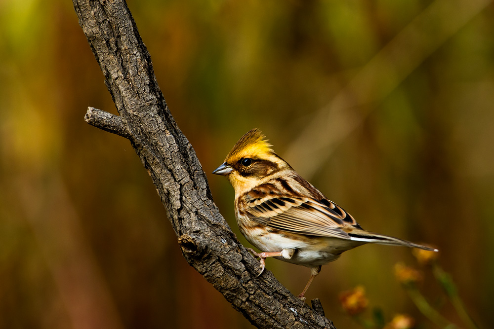D3X_7807-1.jpg