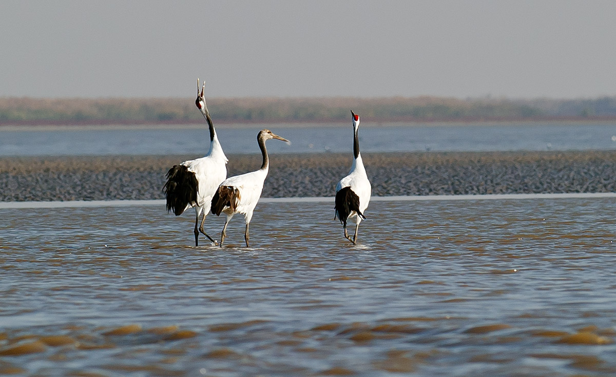 D3S_6951.jpg