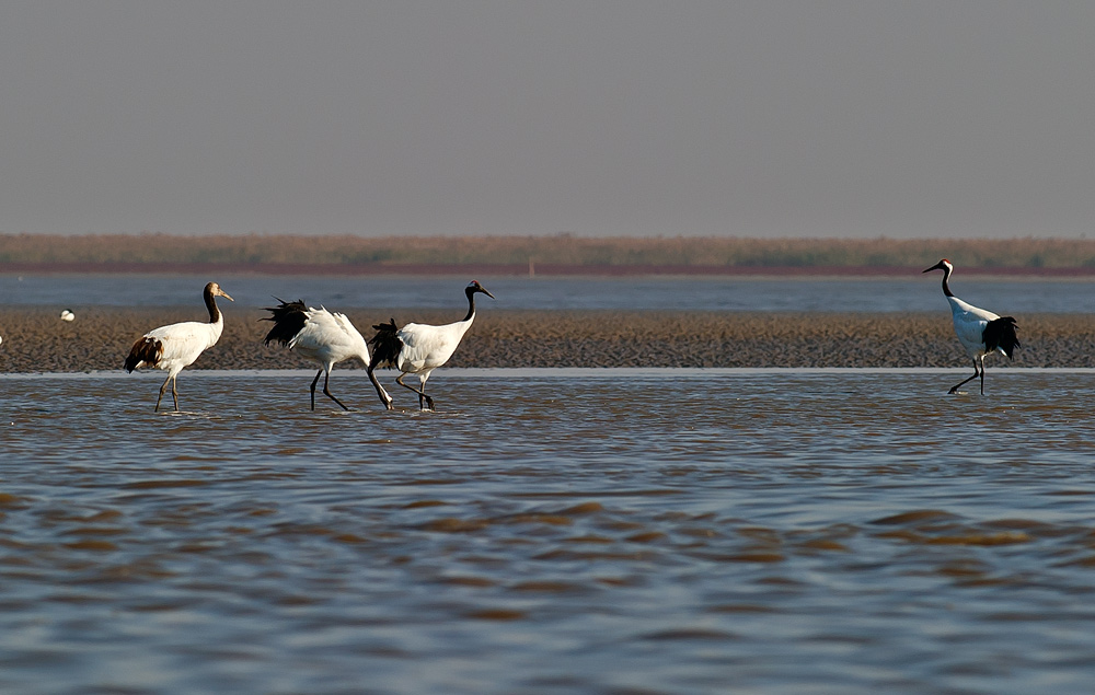 D3S_6914.jpg