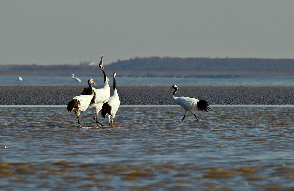 D3S_6952.jpg