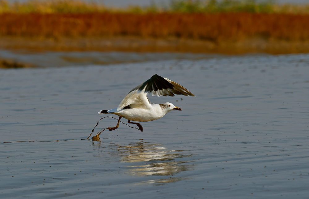 D3S_5885.jpg