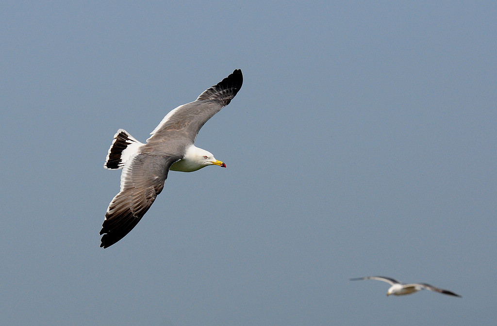DSC_0853  2.jpg