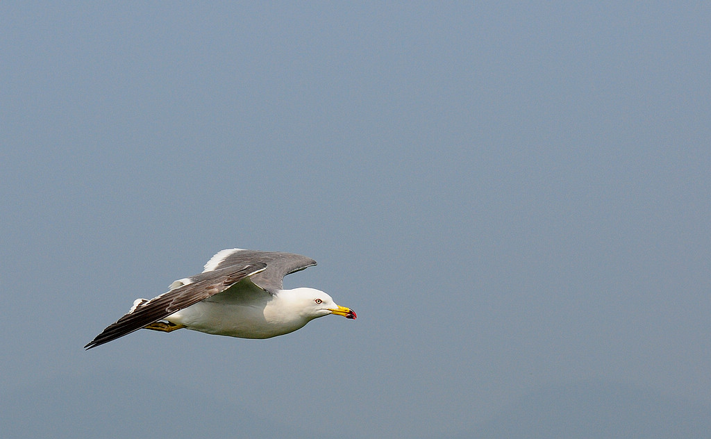 DSC_0855   3.jpg
