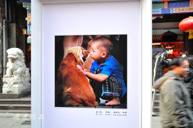 ˽�����Ծ��