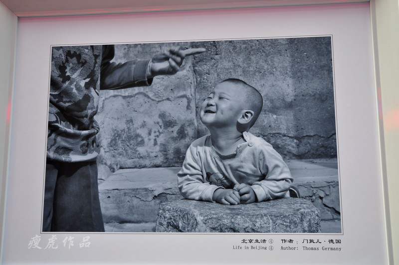 ��������ܡ��Ŷն�