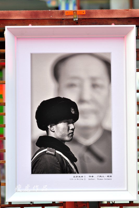 �����������Ŷն�