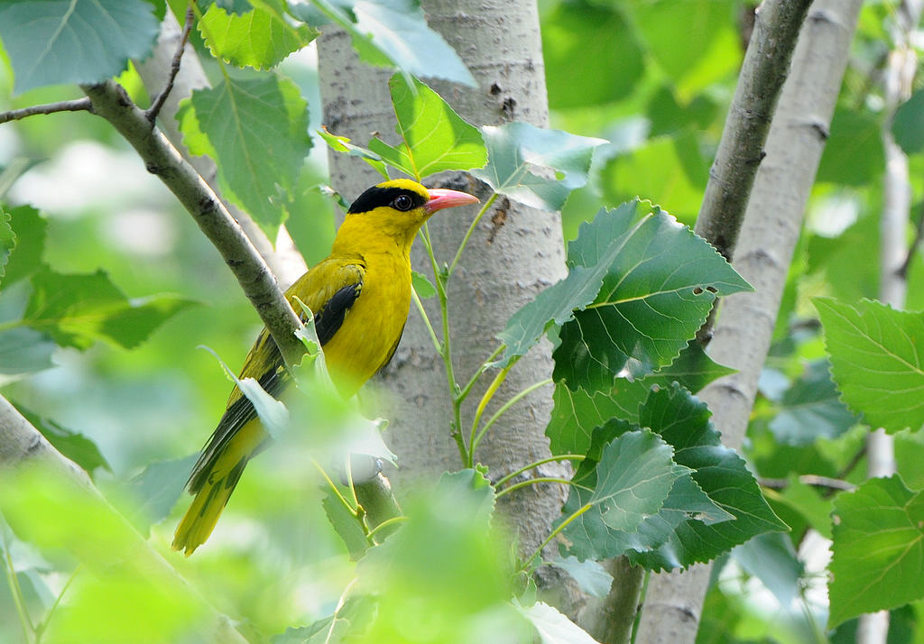 DSC_0261  5.jpg