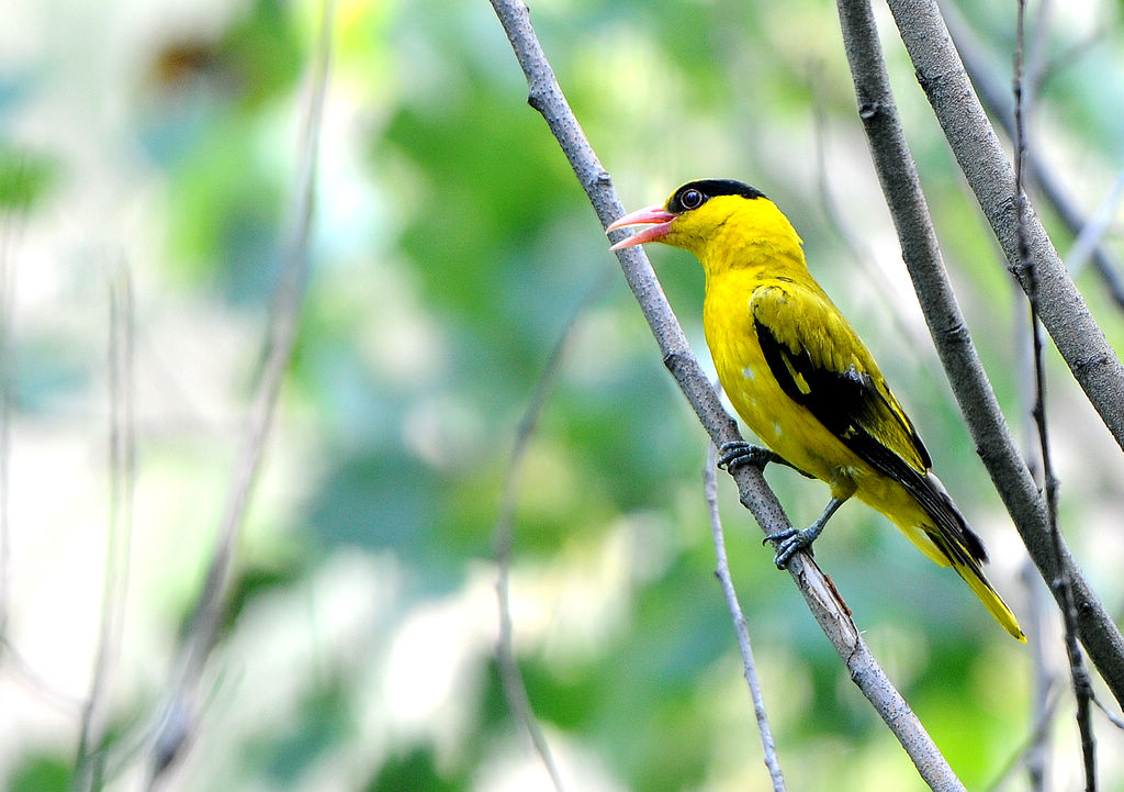 DSC_0693  2.jpg