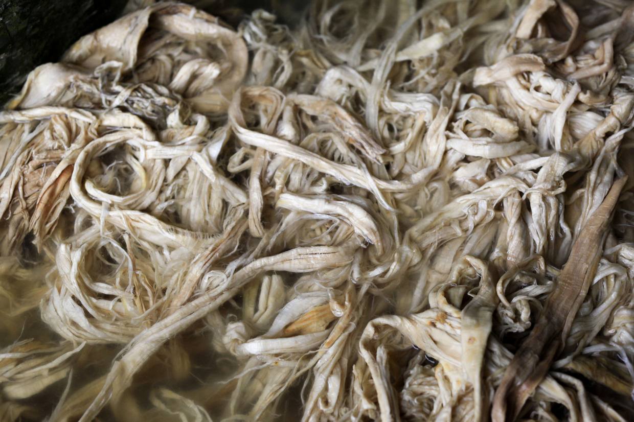 ��ֽ�õ���Ƥ