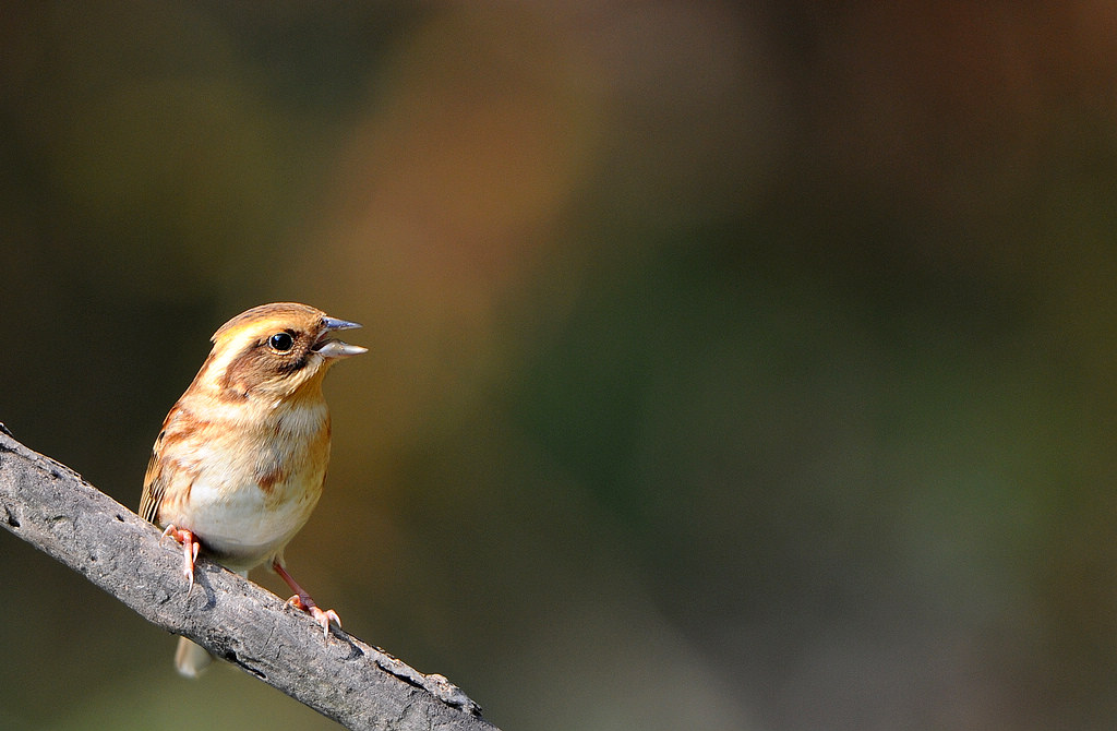 DSC_0281  5.jpg