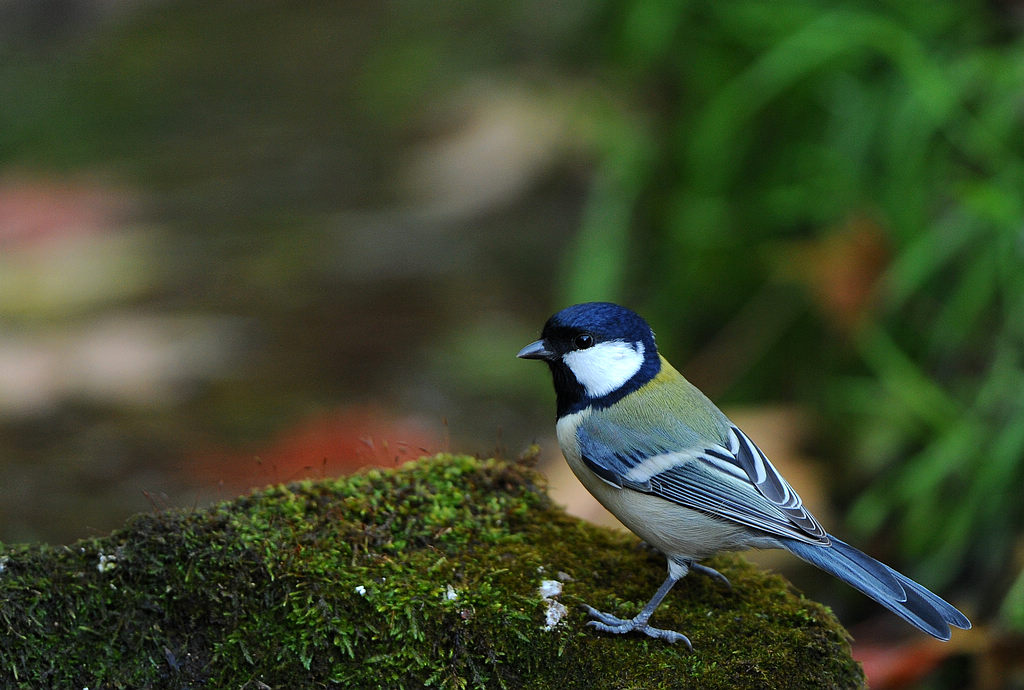 DSC_9283  3.jpg