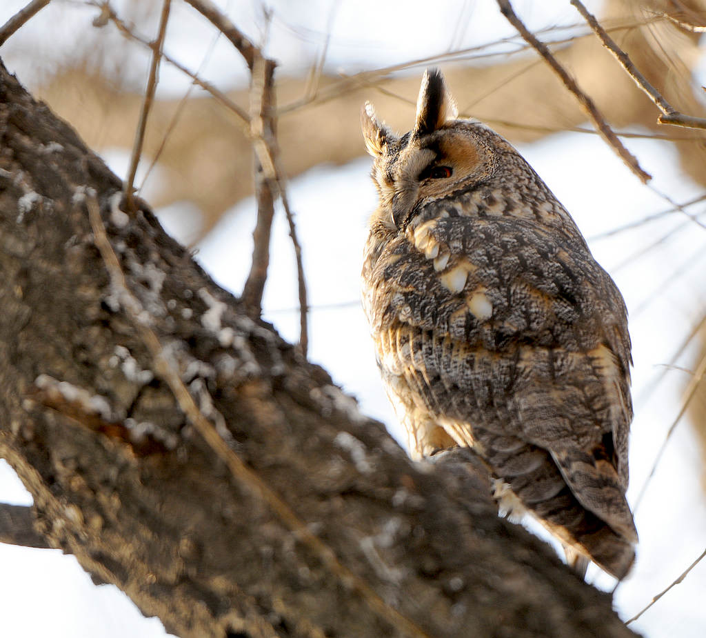DSC_0107  4.jpg
