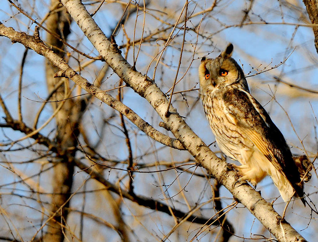DSC_0055  2.jpg