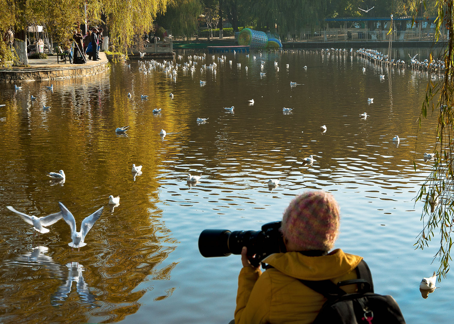 �������������