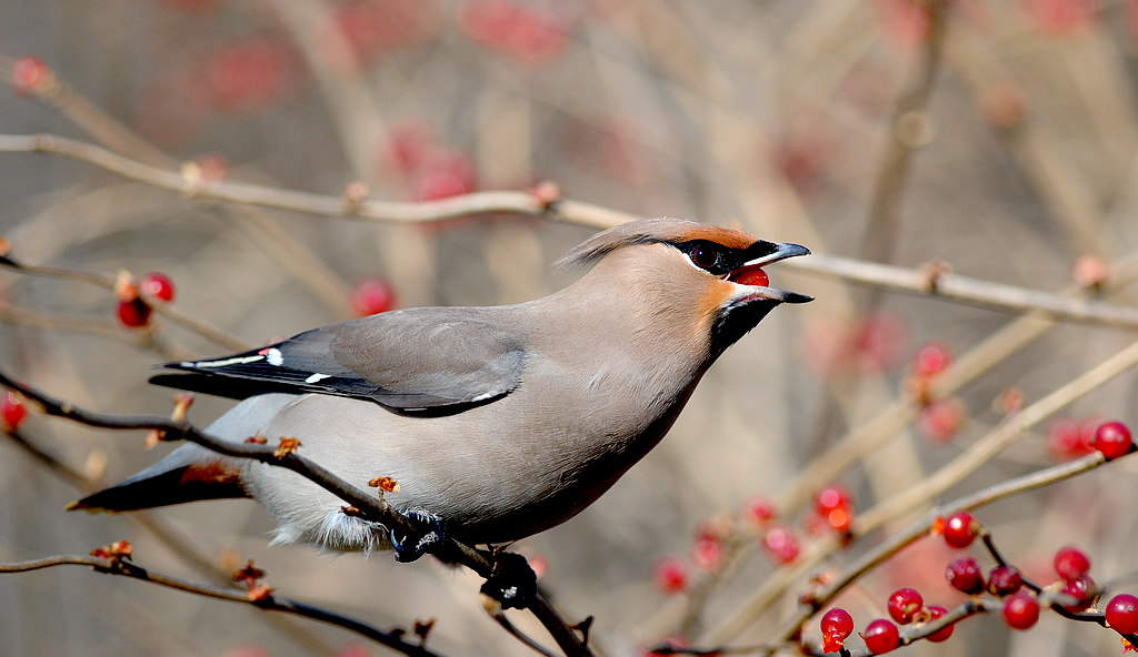 DSC_1428   3.jpg